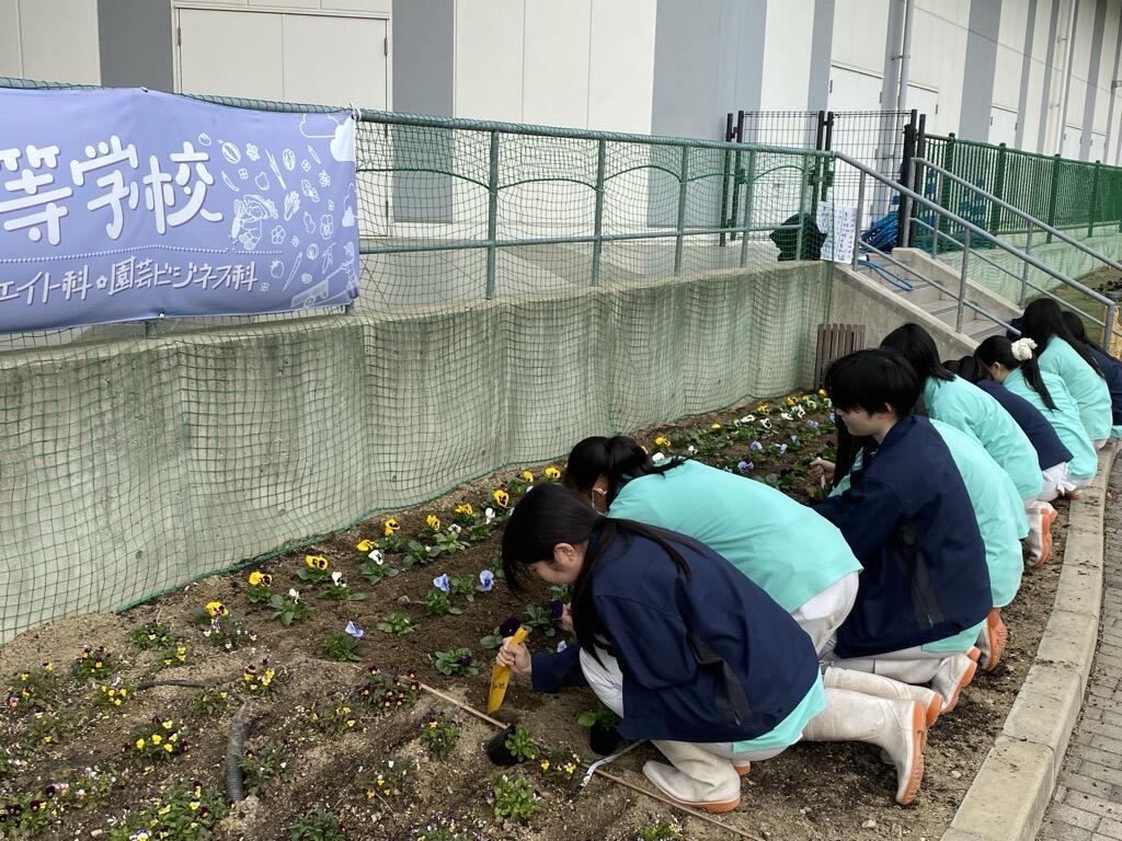 京都府立桂高等学校 | 学科紹介 : 専門学科ブログ